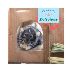 Oxbow Natural Science Papaya Support 33g 8 Oxbow Natural Science Papaya Support 33g -Vetn Pet Direct Store papaya support animal