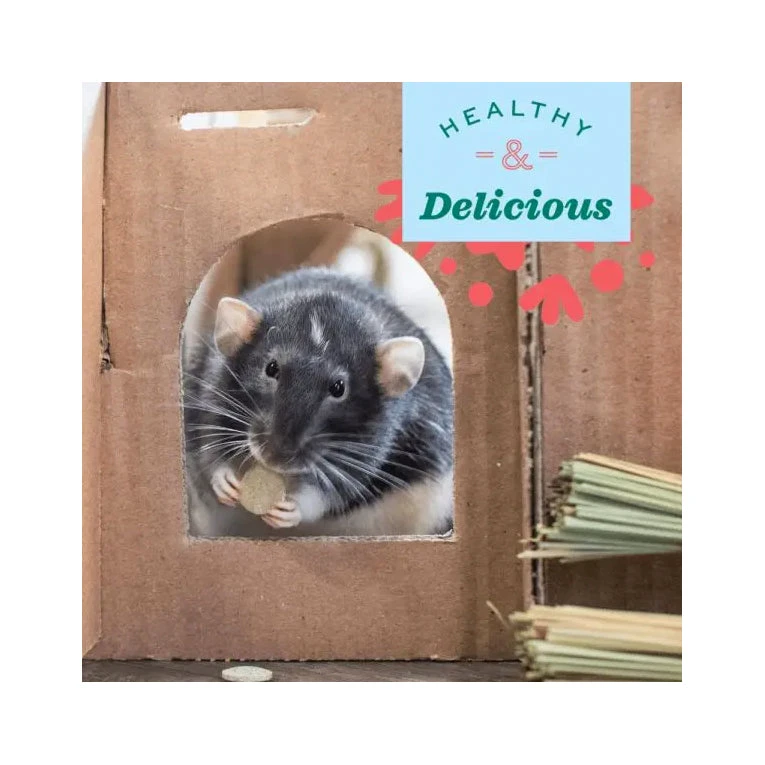 Oxbow Natural Science Papaya Support 33g 4 Oxbow Natural Science Papaya Support 33g - Image 4