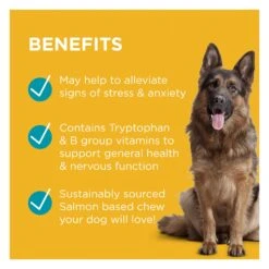 PAW Complete Calm Chews For Dogs 300g 10 PAW Complete Calm Chews For Dogs 300g -Vetn Pet Direct Store paw complete calm benefits
