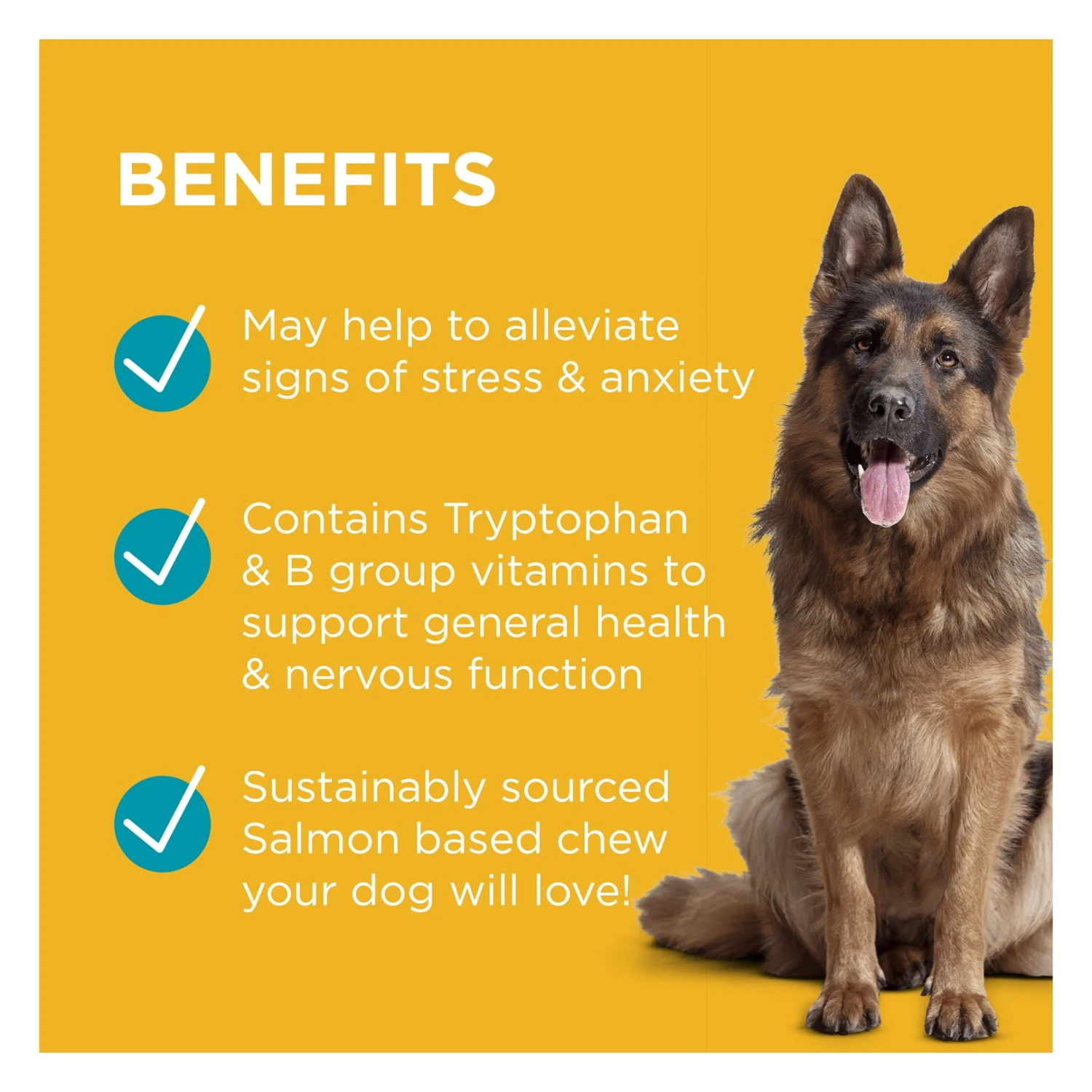 PAW Complete Calm Chews For Dogs 300g 4 PAW Complete Calm Chews For Dogs 300g - Image 4
