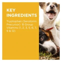 PAW Complete Calm Chews For Dogs 300g 13 PAW Complete Calm Chews For Dogs 300g -Vetn Pet Direct Store paw complete scalm ingredients