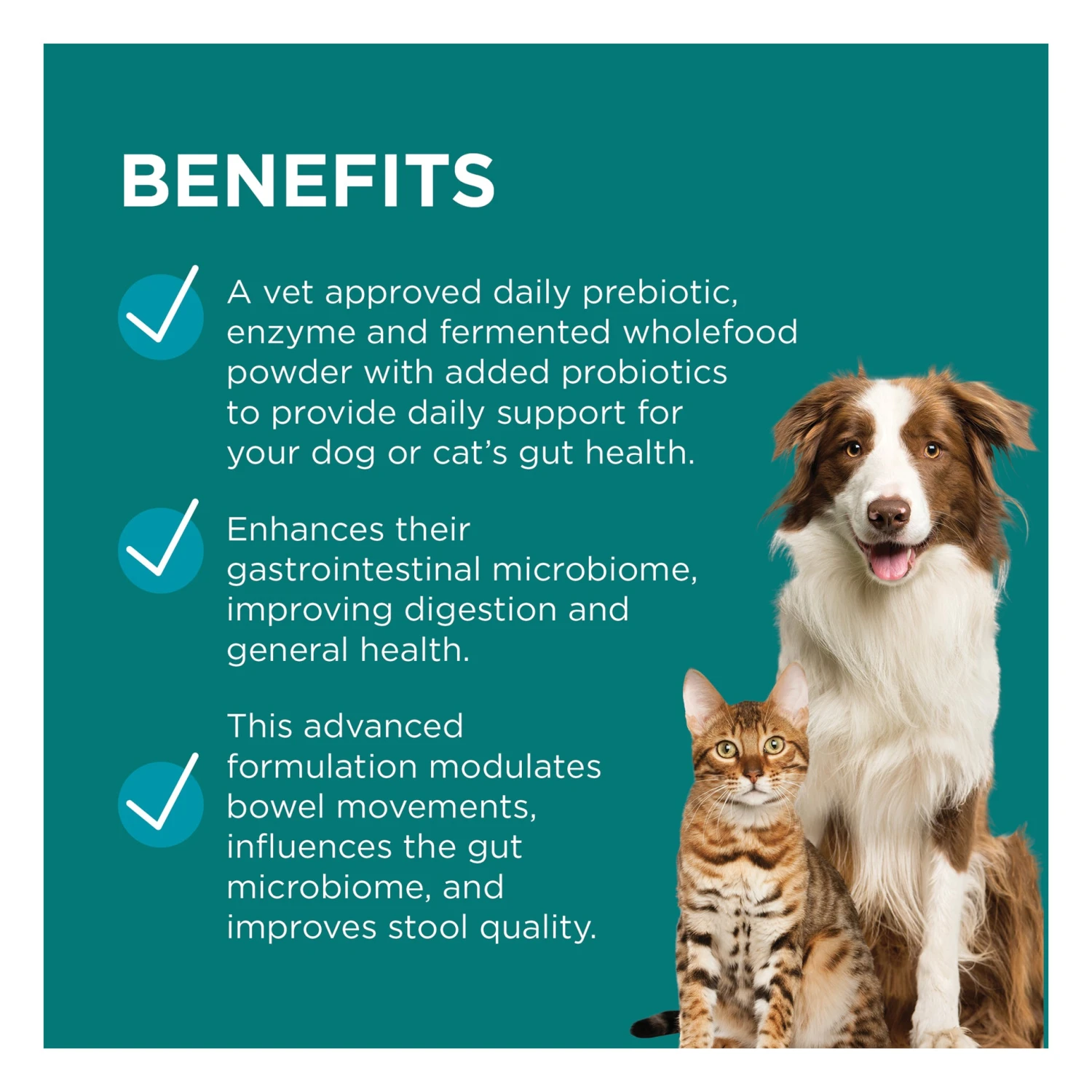 PAW DigestiCare Pre + Probiotic Support 143g 5 PAW DigestiCare Pre + Probiotic Support 143g - Image 5