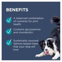 PAW By Blackmores Osteocare Joint Protect Dog Chews -Vetn Pet Direct Store paw osteocare benefits