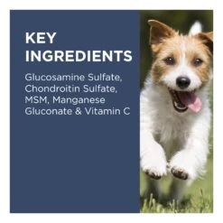 PAW By Blackmores Osteocare Joint Protect Dog Chews -Vetn Pet Direct Store paw osteocare ingredients