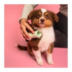 Pet Teezer Puppy Brush 13 Pet Teezer Puppy Brush -Vetn Pet Direct Store pet teezer puppy brush 4