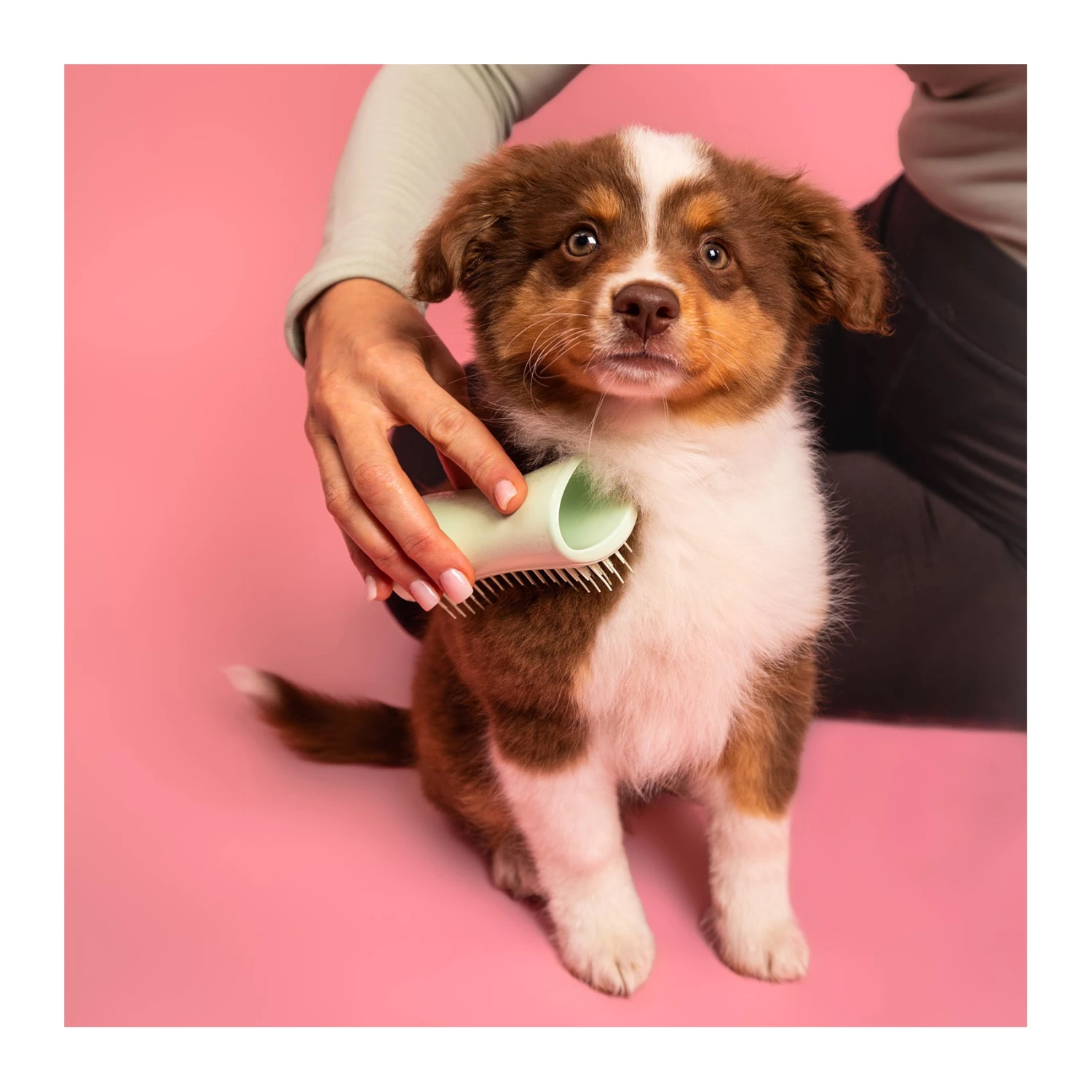 Pet Teezer Puppy Brush 7 Pet Teezer Puppy Brush - Image 7