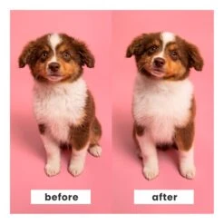 Pet Teezer Puppy Brush 11 Pet Teezer Puppy Brush -Vetn Pet Direct Store pet teezer puppy brush 6