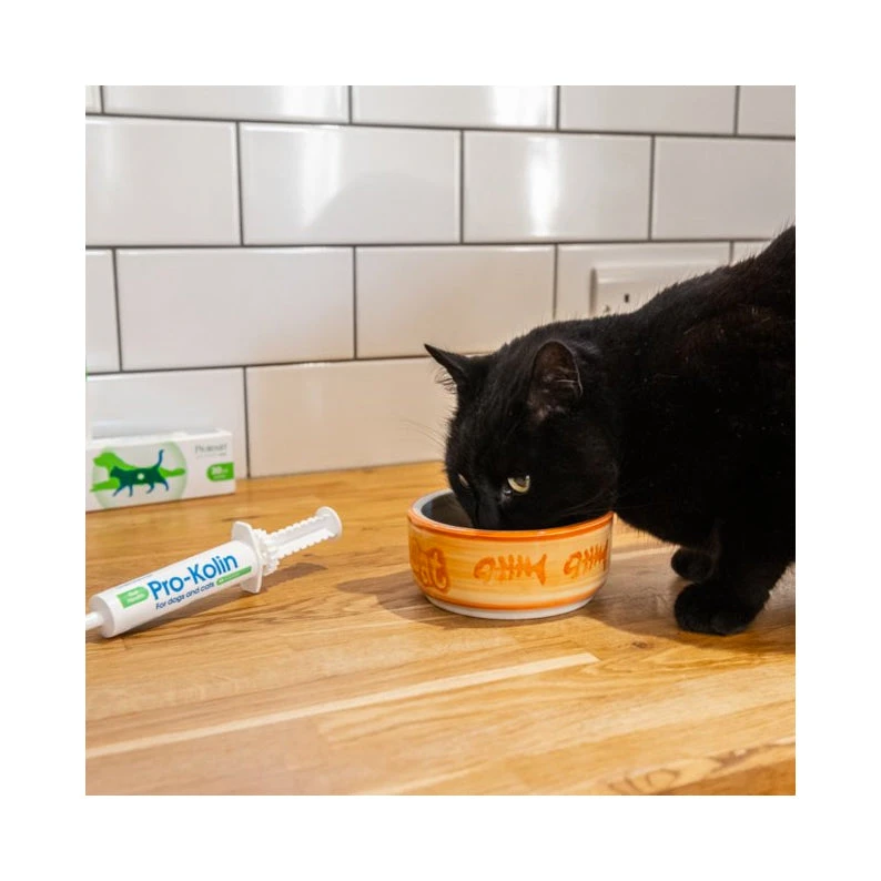 Protexin Pro-Kolin+ Probiotic Paste For Dogs & Cats 7 Protexin Pro-Kolin+ Probiotic Paste For Dogs & Cats - Image 7