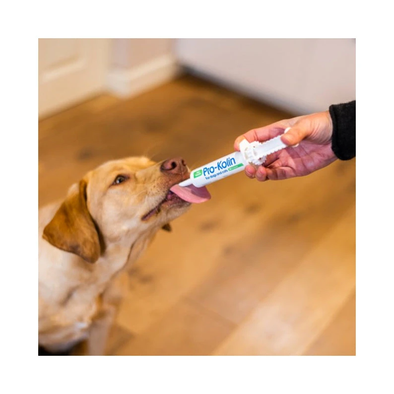 Protexin Pro-Kolin+ Probiotic Paste For Dogs & Cats 8 Protexin Pro-Kolin+ Probiotic Paste For Dogs & Cats - Image 8