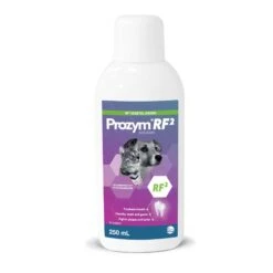 Prozym Dental Solution 250mL
