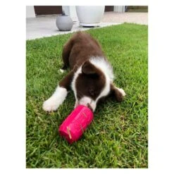 SodaPup Chew & Treat Dispensing Can Toy For Teething Pups 10 SodaPup Chew & Treat Dispensing Can Toy For Teething Pups -Vetn Pet Direct Store puppy can 04