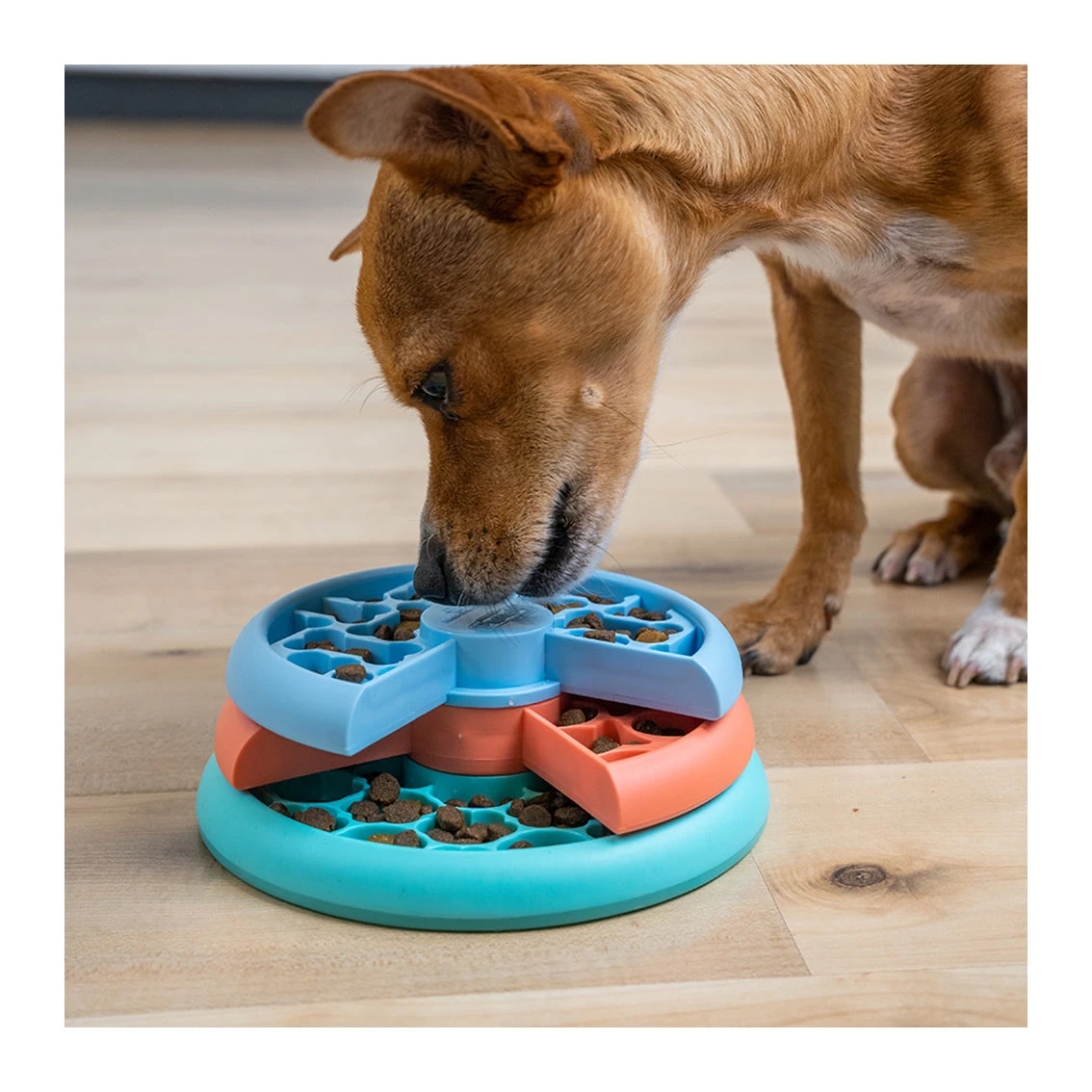 Nina Ottosson Puppy Lickin' Layers Dog Puzzle & Feeder In One 2 Nina Ottosson Puppy Lickin' Layers Dog Puzzle & Feeder In One - Image 2