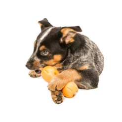 West Paw Zogoflex Quizl Treat Toy 13 West Paw Zogoflex Quizl Treat Toy -Vetn Pet Direct Store quizzl media 05