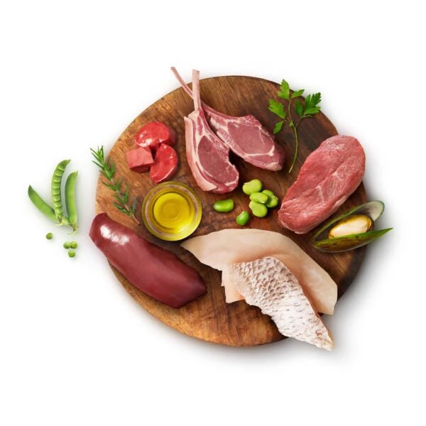 Animals Like Us RawMix50 With Ocean Fish Dry Dog Food 3 Animals Like Us RawMix50 With Ocean Fish Dry Dog Food - Image 3