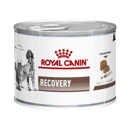 Royal Canin Veterinary Diet Canine/Feline Recovery Single Can 195g 1 Royal Canin Veterinary Diet Canine/Feline Recovery Single Can 195g