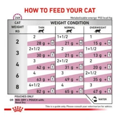 Royal Canin Veterinary Diet Feline Renal With Fish 12 X 85g -Vetn Pet Direct Store rcpvdprenal fish pouch guide