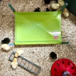 Caleo Chicken Brooder Heating Plate 10 Caleo Chicken Brooder Heating Plate -Vetn Pet Direct Store river chick heating plate life2