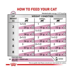 Royal Canin Veterinary Diet Feline Renal (Chicken) 12 X 85g -Vetn Pet Direct Store royal canin VD feline renal chicken pouch media 02