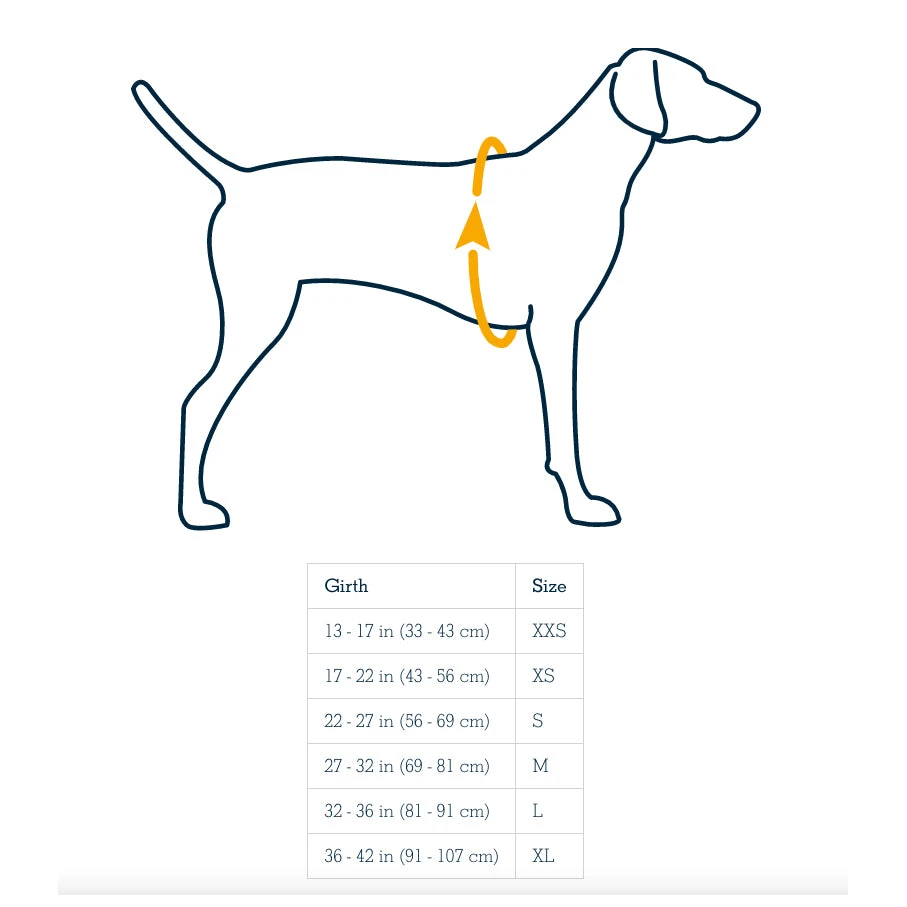 Ruffwear Float Coat Dog Life Jacket 7 Ruffwear Float Coat Dog Life Jacket - Image 7