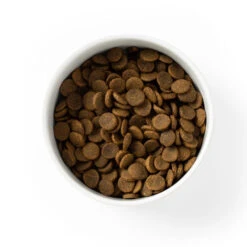 SavourLife Care Plus Grain Free Mobility With Australian Chicken Adult Dog Food -Vetn Pet Direct Store savourlife care p lus mobility chickemn sample