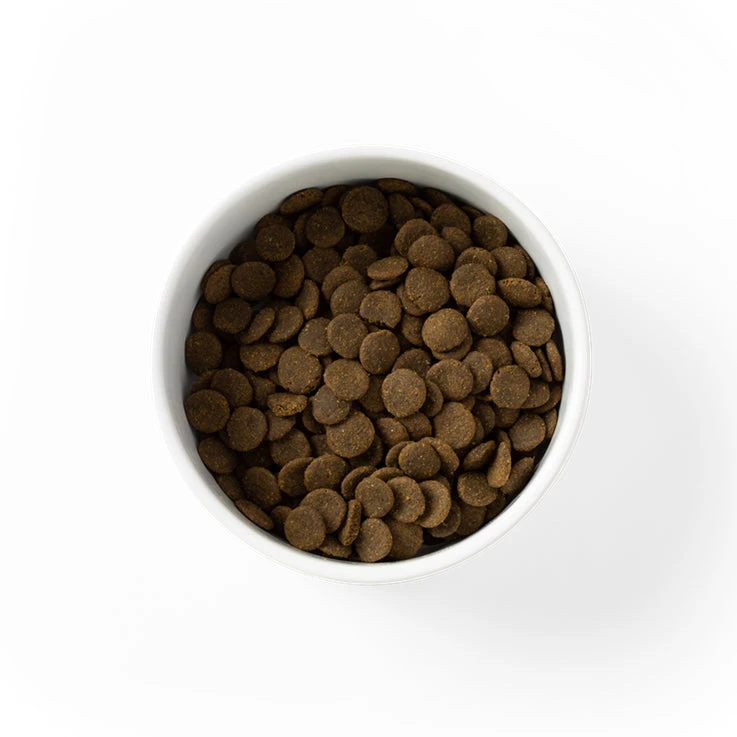 SavourLife Care Plus Grain Free Sensitive With Australian Ocean Fish Adult Dog Food 2 SavourLife Care Plus Grain Free Sensitive With Australian Ocean Fish Adult Dog Food - Image 2