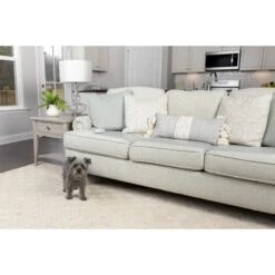 PetSafe Scat Mat Indoor Pet Training Mat -Vetn Pet Direct Store scat mat sofa size 1 4b8d6106 4fa1 4cbc 8a78 4efa3fe2a4e5