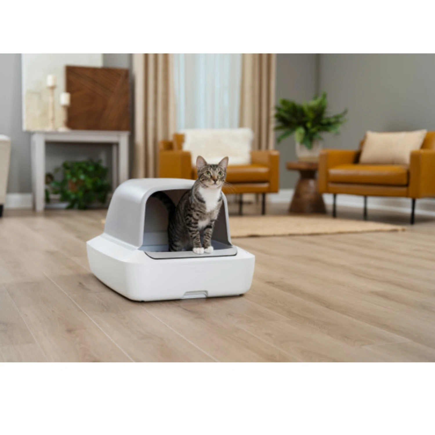 PetSafe ScoopFree Crystal Pro Self-Cleaning Litter Box 6 PetSafe ScoopFree Crystal Pro Self-Cleaning Litter Box - Image 6