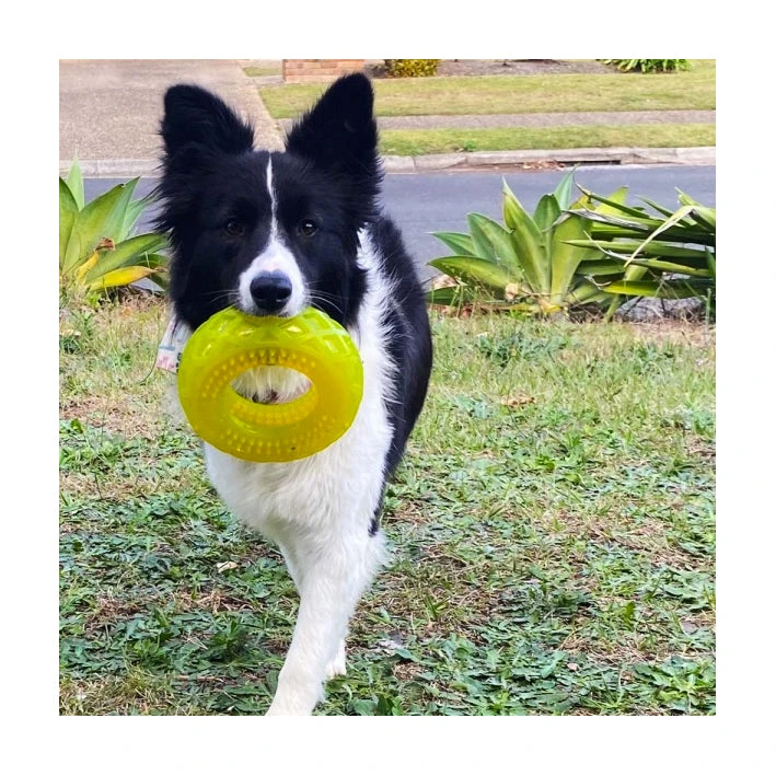 Scream Xtreme Treat Tyre 13 Scream Xtreme Treat Tyre - Image 13