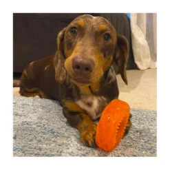 Scream Xtreme Treat Tyre 33 Scream Xtreme Treat Tyre -Vetn Pet Direct Store scream xtreme treat tyre dog 2