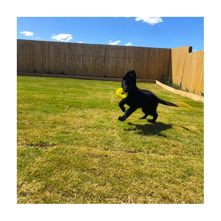 Scream Xtreme Treat Tyre 15 Scream Xtreme Treat Tyre - Image 15