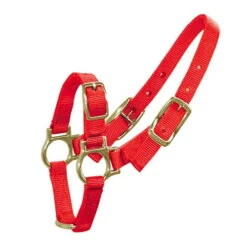 Sheep/Goat Halter -Vetn Pet Direct Store sheep goat halter red