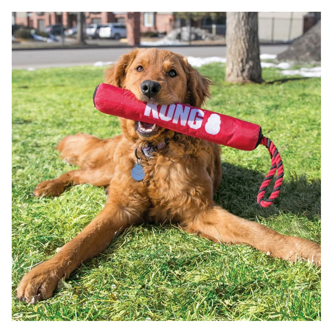 KONG Signature Stick With Rope 2 KONG Signature Stick With Rope - Image 2