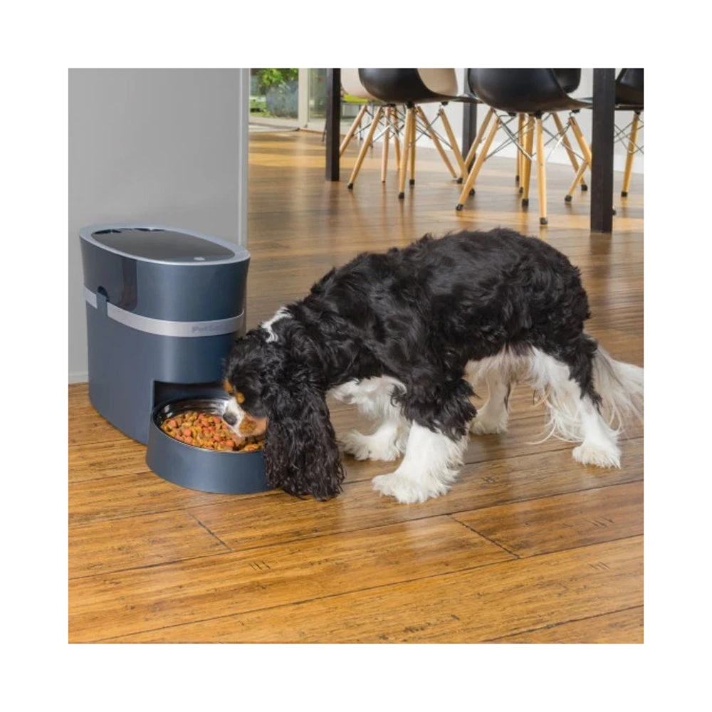 PetSafe Smart Feed Automatic Pet Feeder 5 PetSafe Smart Feed Automatic Pet Feeder - Image 5