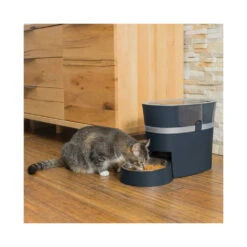 PetSafe Smart Feed Automatic Pet Feeder 14 PetSafe Smart Feed Automatic Pet Feeder -Vetn Pet Direct Store smart feed pet feeder media 04