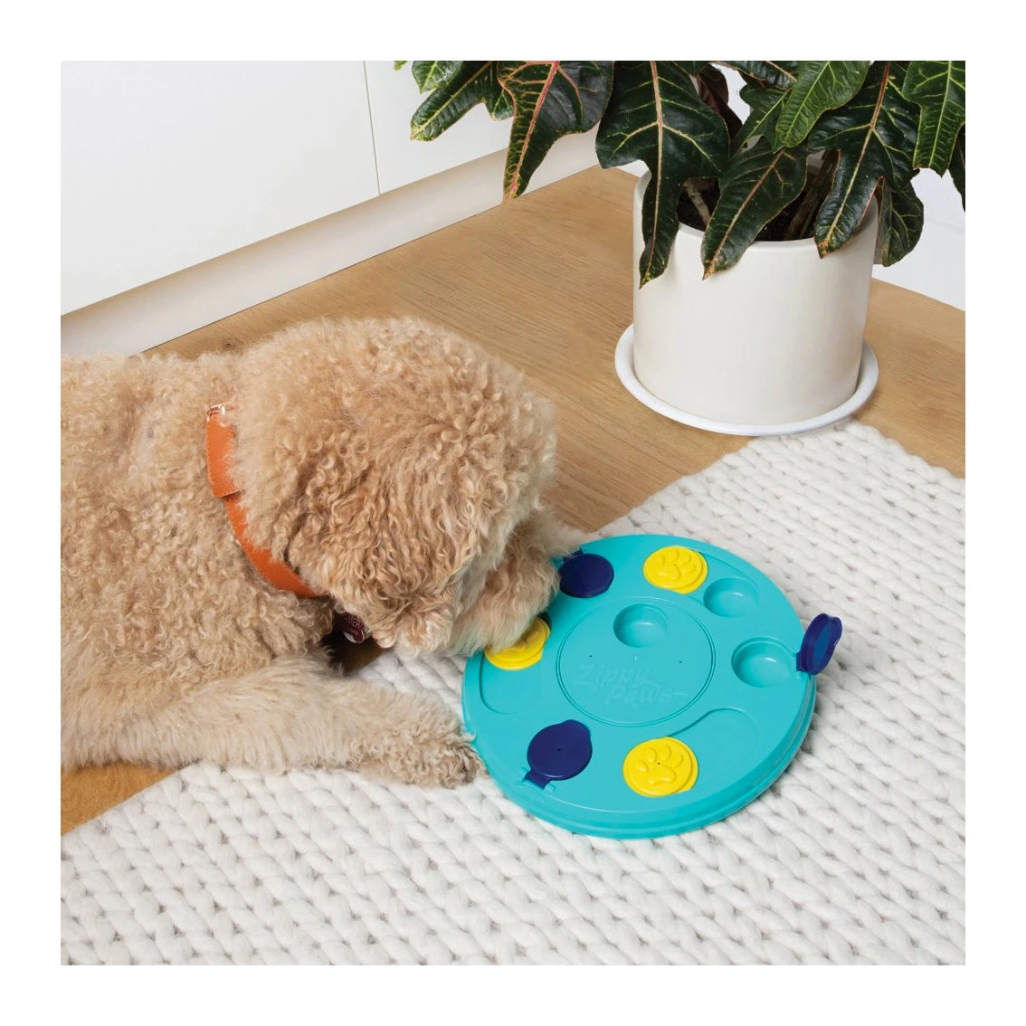 Zippy Paws SmartyPawsPuzzler Puzzle Feeder 2 Zippy Paws SmartyPawsPuzzler Puzzle Feeder - Image 2