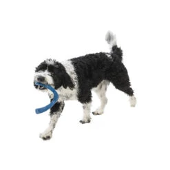 West Paw Seaflex Recycled Plastic Tug Dog Toy - Snorkl -Vetn Pet Direct Store snorkl 2