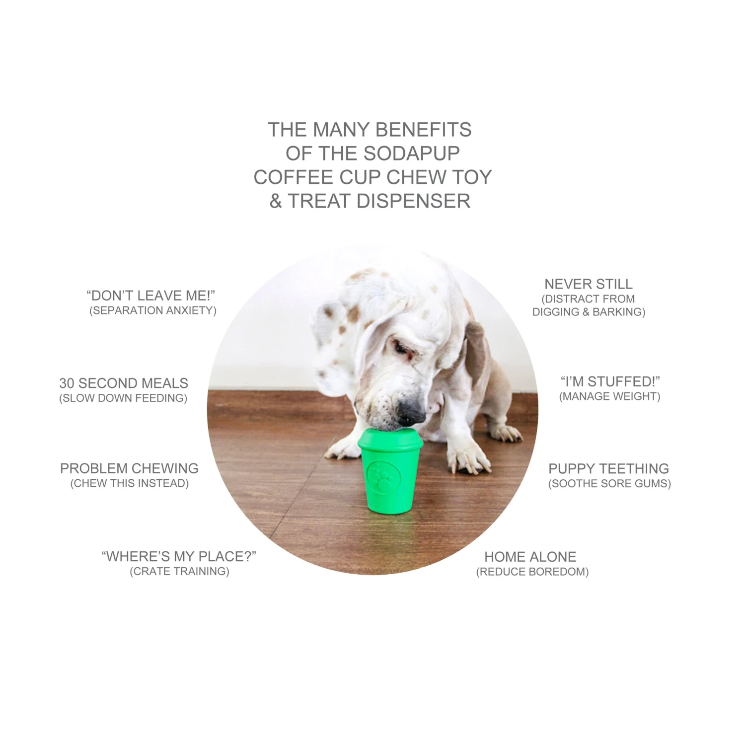 SodaPup Coffee Cup Treat Dispensing Dog Toy 5 SodaPup Coffee Cup Treat Dispensing Dog Toy - Image 5