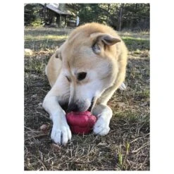 Mutts Kick Butt Rubber Cupcake Chew Toy & Treat Dispenser -Vetn Pet Direct Store sodapup cupcake 06