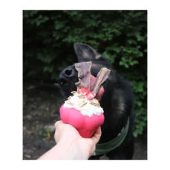 Mutts Kick Butt Rubber Cupcake Chew Toy & Treat Dispenser -Vetn Pet Direct Store sodapup cupcake 07