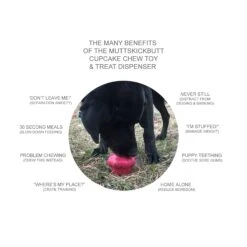 Mutts Kick Butt Rubber Cupcake Chew Toy & Treat Dispenser -Vetn Pet Direct Store sodapup cupcake 08