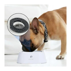All Fur Your Spill Proof Bowl Replacement Filters - 4 Pieces -Vetn Pet Direct Store spill proof replacement filters 4