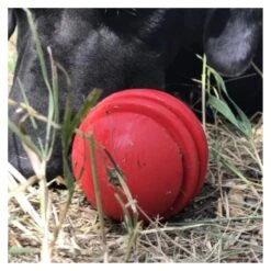 Stars & Stripes Dental Ball & Durable Chew Toy -Vetn Pet Direct Store stars and stripes dental ball 2