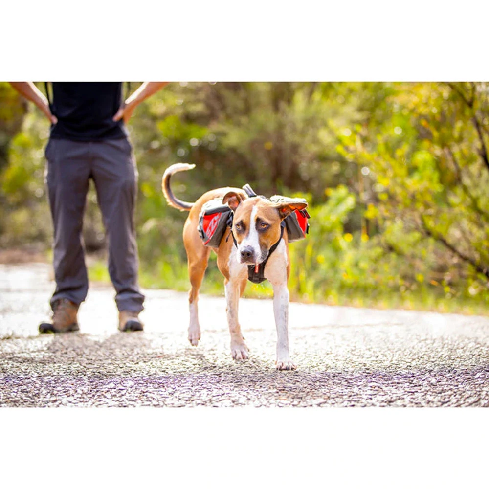 EzyDog Summit Dog Backpack 9 EzyDog Summit Dog Backpack - Image 9