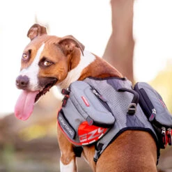 EzyDog Summit Dog Backpack 18 EzyDog Summit Dog Backpack -Vetn Pet Direct Store summitbackpack1
