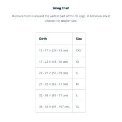 Ruffwear Swamp Cooler Cooling Dog Vest 11 Ruffwear Swamp Cooler Cooling Dog Vest -Vetn Pet Direct Store swamp cooler cooling vest 2022 size chart