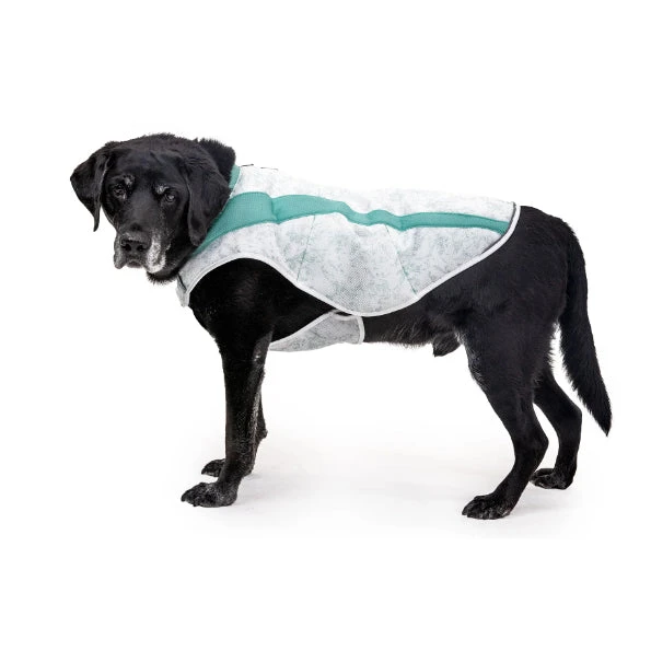 Ruffwear Swamp Cooler Cooling Dog Vest 6 Ruffwear Swamp Cooler Cooling Dog Vest - Image 6