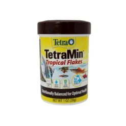 TetraMin Tropical Flakes 11 TetraMin Tropical Flakes -Vetn Pet Direct Store tetra min tropical flakes 28g front 4web