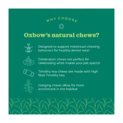 Oxbow Timothy CLUB Timothy Carrot -Vetn Pet Direct Store timothy club carrot details