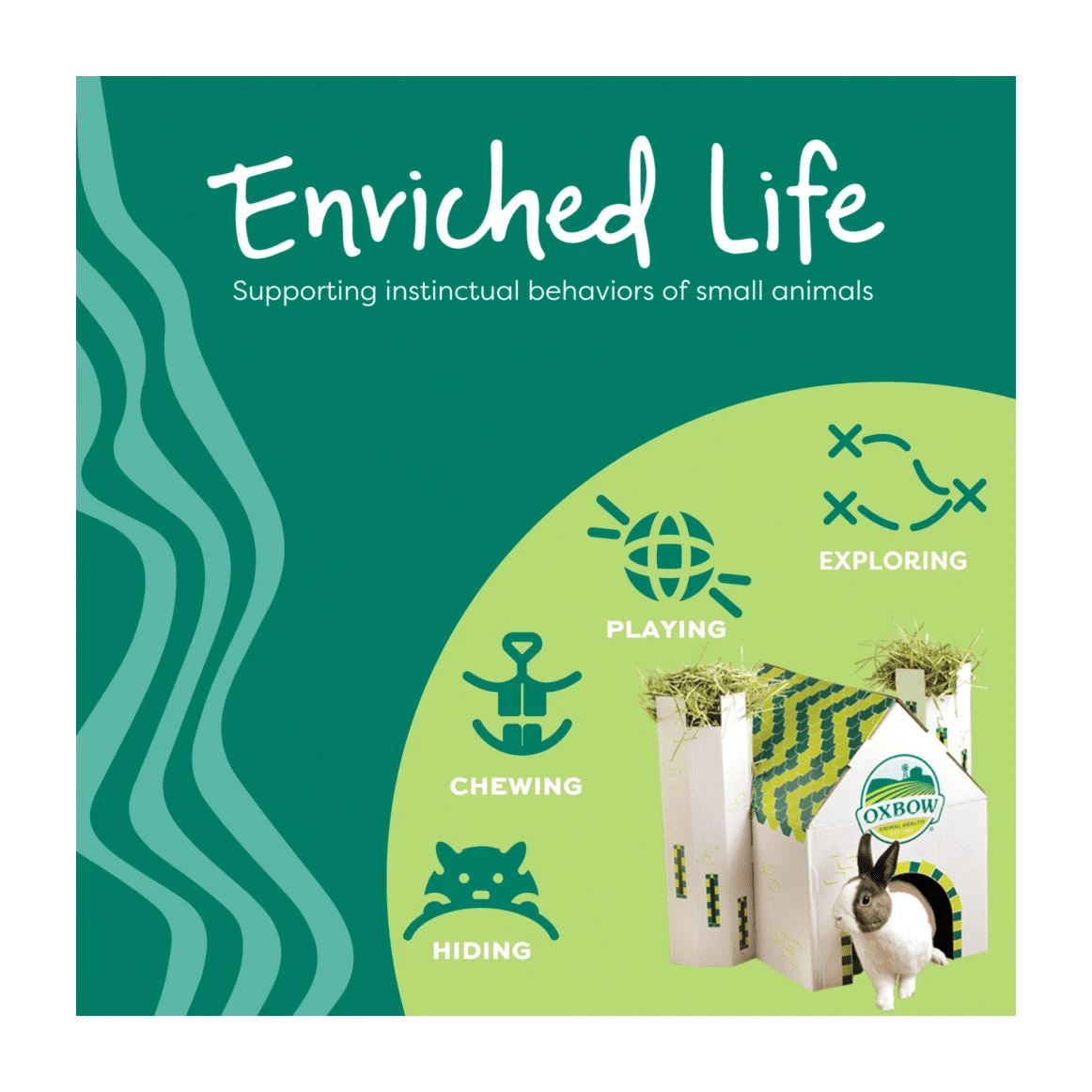 Oxbow Timothy CLUB Timothy Tunnel 3 Oxbow Timothy CLUB Timothy Tunnel - Image 3