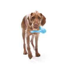 West Paw Zogoflex Tizzi Treat & Tug Dog Toy 11 West Paw Zogoflex Tizzi Treat & Tug Dog Toy -Vetn Pet Direct Store tizzi media 02